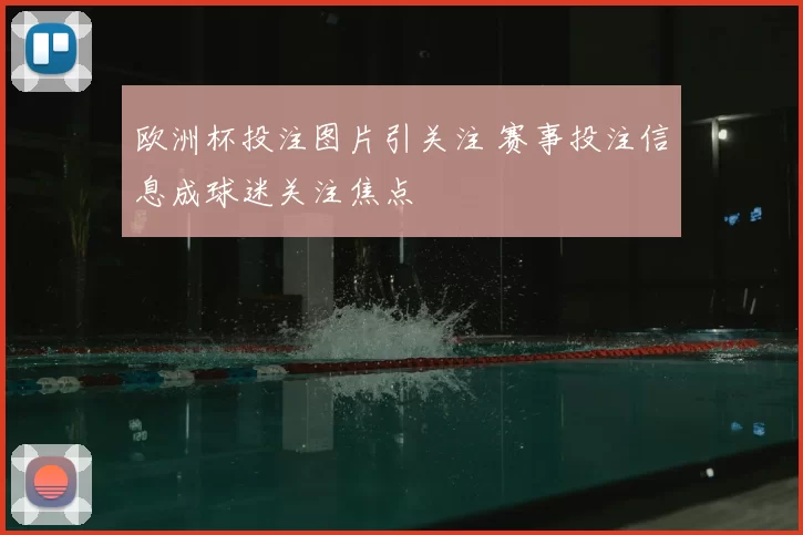 欧洲杯投注图片引关注 赛事投注信息成球迷关注焦点
