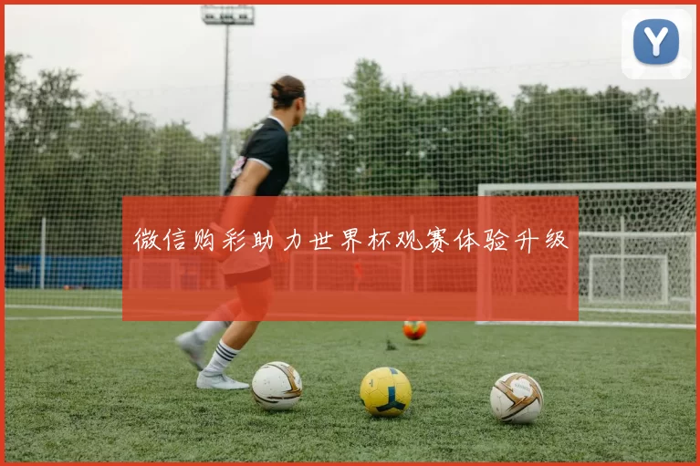 微信购彩助力世界杯观赛体验升级