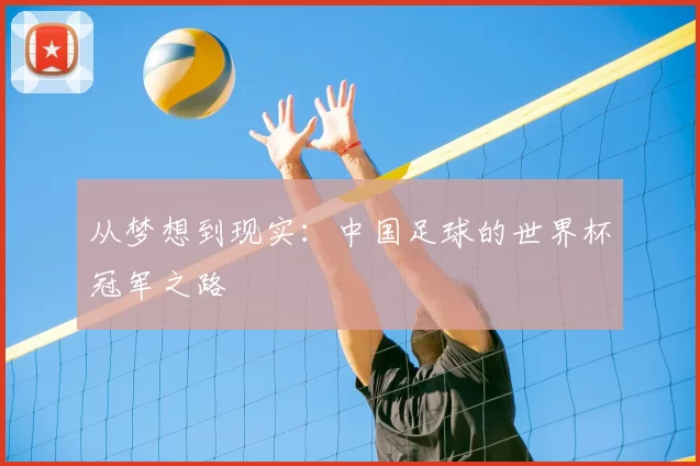 从梦想到现实:中国足球的世界杯冠军之路