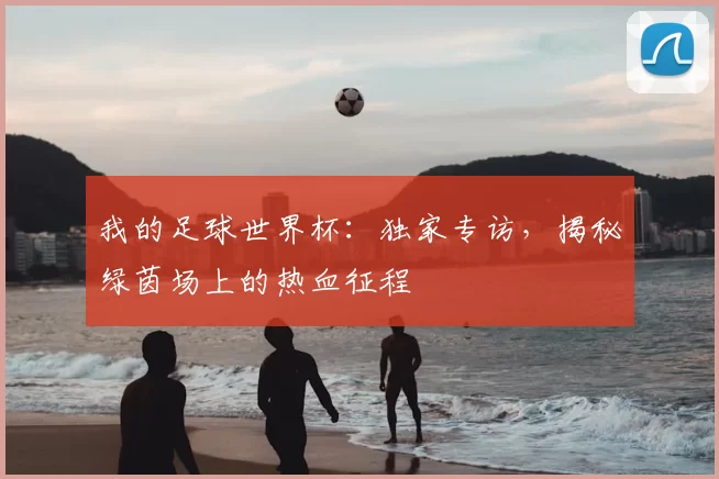 我的足球世界杯:独家专访,揭秘绿茵场上的热血征程