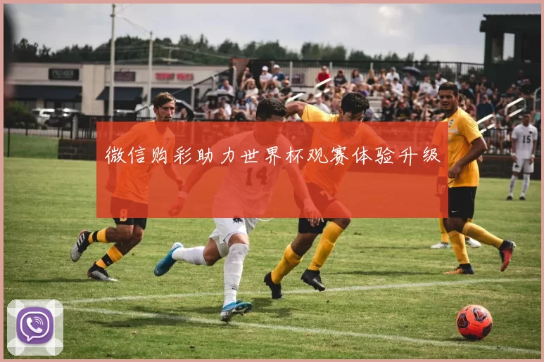 微信购彩助力世界杯观赛体验升级
