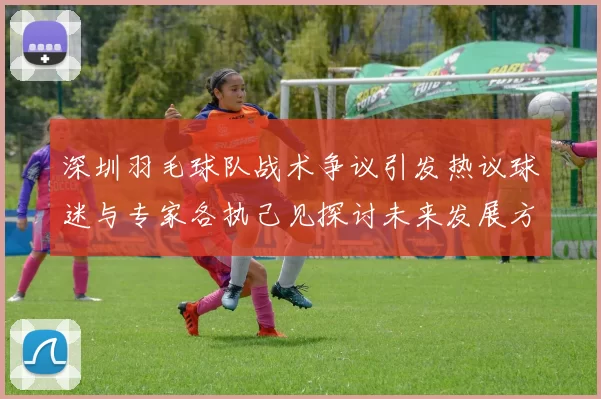 深圳羽毛球队战术争议引发热议球迷与专家各执己见探讨未来发展方向