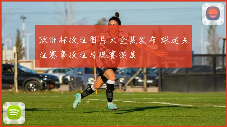欧洲杯投注图片大全集发布 球迷关注赛事投注与观赛热度