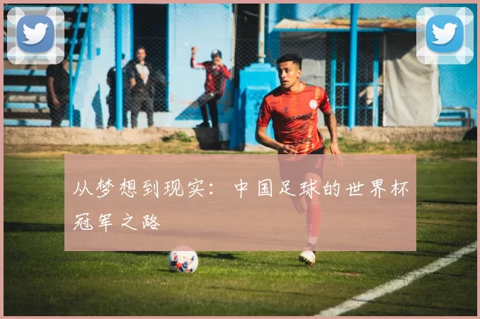 从梦想到现实:中国足球的世界杯冠军之路