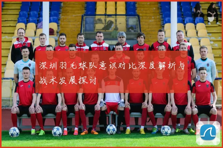 深圳羽毛球队意识对比深度解析与战术发展探讨