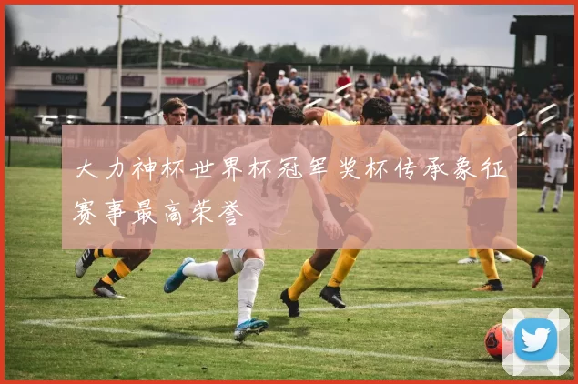 大力神杯世界杯冠军奖杯传承象征赛事最高荣誉