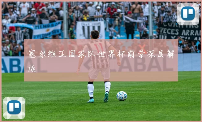 塞尔维亚国家队世界杯前景深度解读