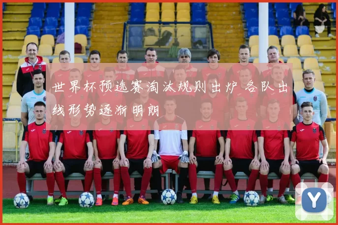世界杯预选赛淘汰规则出炉 各队出线形势逐渐明朗