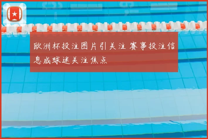 欧洲杯投注图片引关注 赛事投注信息成球迷关注焦点