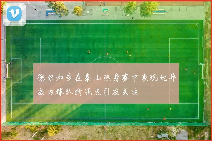 德尔加多在泰山热身赛中表现优异成为球队新亮点引发关注