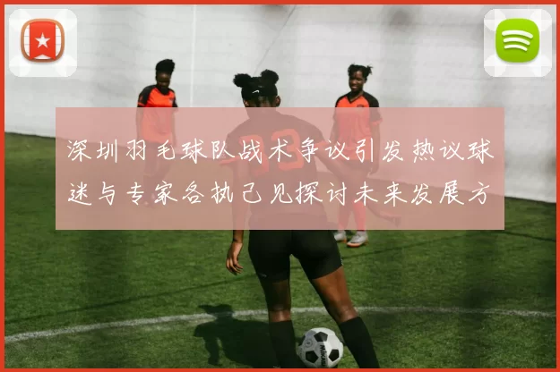 深圳羽毛球队战术争议引发热议球迷与专家各执己见探讨未来发展方向