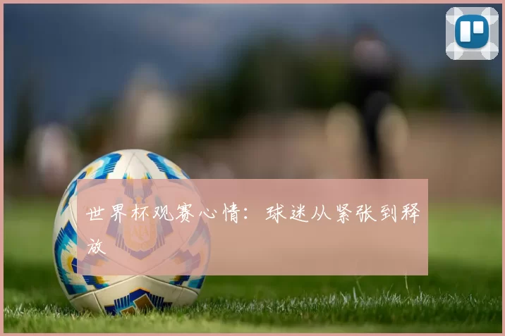 世界杯观赛心情:球迷从紧张到释放