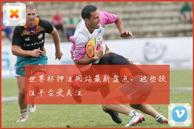 世界杯押注网站最新盘点,这些投注平台受关注
