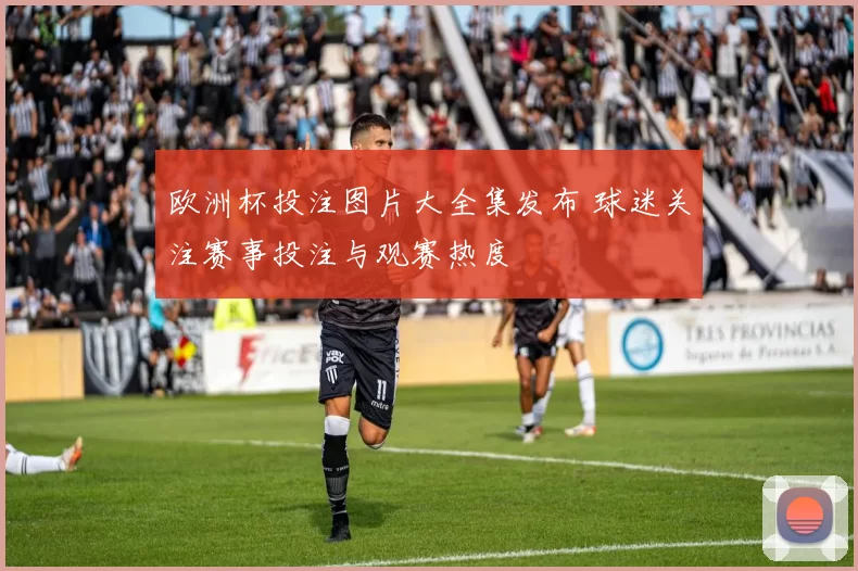 欧洲杯投注图片大全集发布 球迷关注赛事投注与观赛热度
